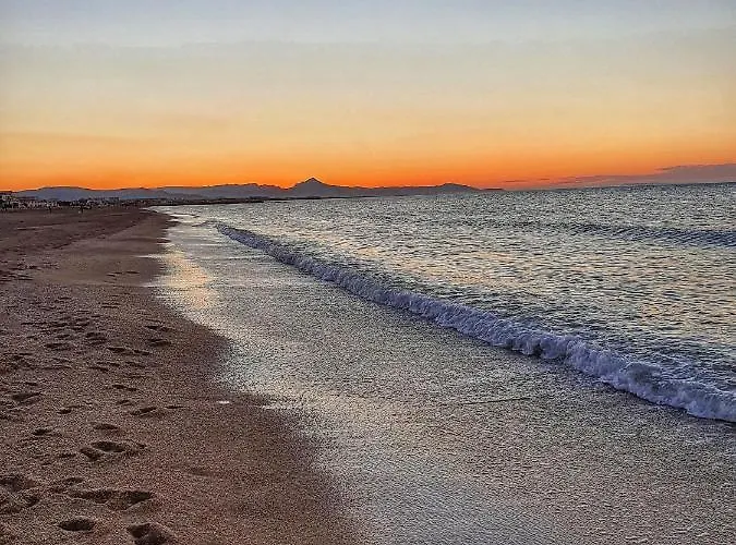 Rentalmare دينايا